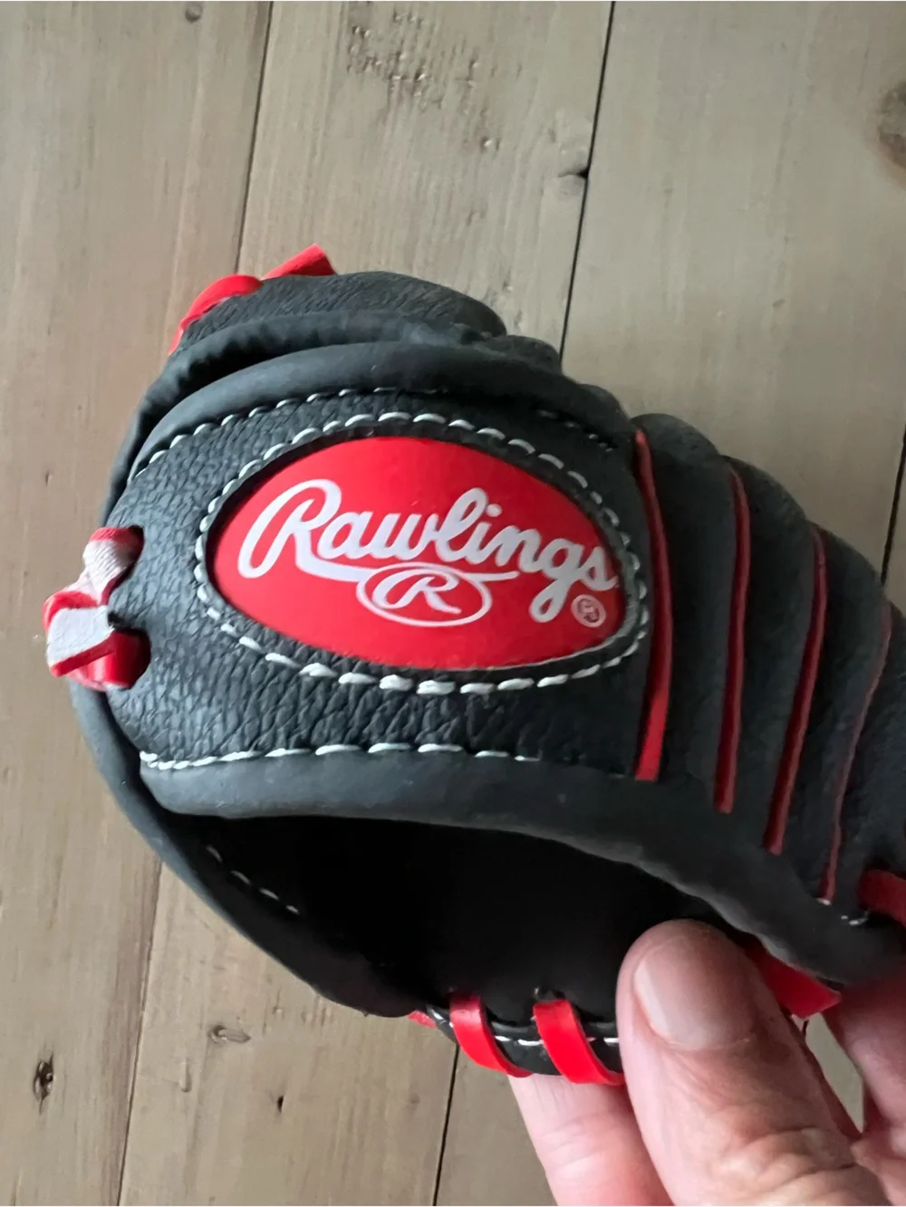 New Rawlings Glove 10 inch